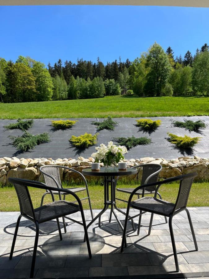 Apartament Na Wzgorzu 1, Sauna, Ebike, Las, Widok - 5D Apartamenty Świeradów-Zdrój Extérieur photo